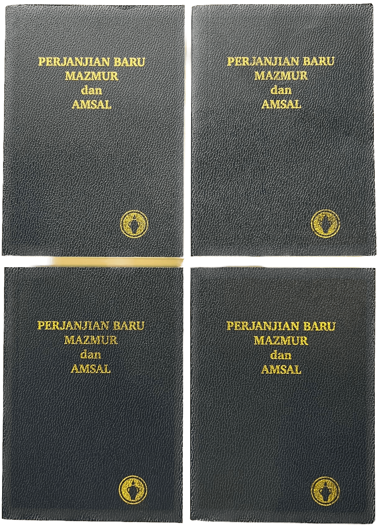 AVB Pocket Size Bible